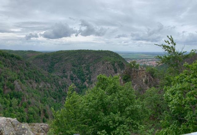 Unser Ferienhaus Im Harz Thale Εξωτερικό φωτογραφία